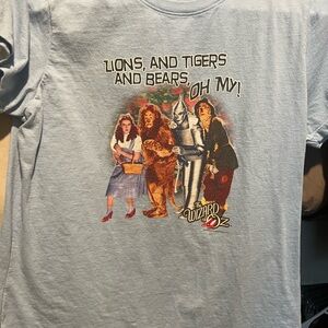 Gildan Light Blue Wizard of Oz Kids T-Shirt